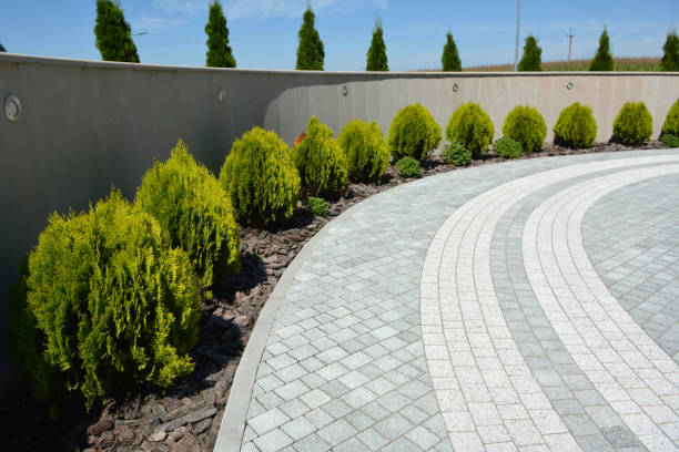 Best Decorative Driveway Pavers  in Star City, WV